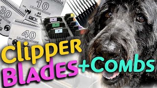 How to use DOG GROOMING CLIPPER BLADES and COMB ATTACHMENTS on a LARGE DOODLE [upl. by Collis]