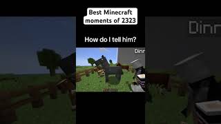 Best Minecraft Moments of 2323 [upl. by Ahsikram921]