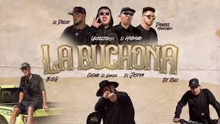 Uzielito Mix amp El Habano  La Buchona ft Candela Music Audio [upl. by Haerb]