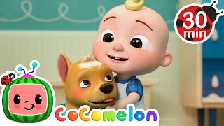 A Petastic Day with JJ Cody amp Miss Appleberry 🐶🐱  CoComelon  Kids Cartoons amp Songs [upl. by Gerty]