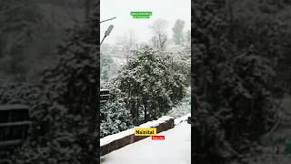 Snow fall videoNainitalmy hometown snowfall nainital uttarakhand travelvlog shorts ytshorts [upl. by Firman]