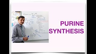 Purine Synthesis De Novo Purine Synthesis [upl. by Ahtennek730]