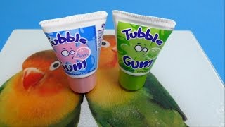 Tubble Bubble Tube Gum  Apple amp Tutti Chewing Gum [upl. by Leay488]