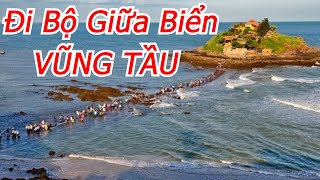 Quang Trip  Đi Bộ Giữa Biển Vũng Tầu [upl. by Andrei]