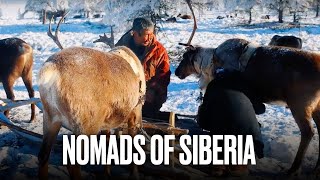 Indigenous People Of Russia Evens And Their Reindeer [upl. by Learsiy]