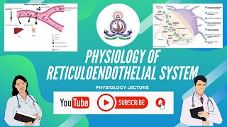 PHYSIOLOGY OF RETICULOENDOTHELIAL SYSTEM [upl. by Bridie]