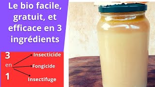 un insecticidefongicide bio facile gratuit et efficace pour vos jardins [upl. by Akemak692]