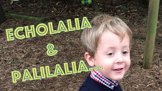 Echolalia amp Palilalia  What does Echolalia sound like  Autism Awareness  ASD  Child Speech Delay [upl. by Berhley]