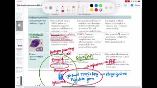 chediak higashi syndrome immunology 56  First Aid USMLE Step 1 in UrduHindi [upl. by Ayna862]