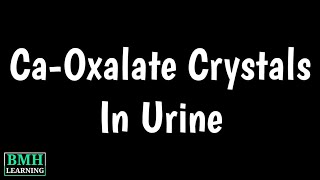 Calcium Oxalate Crystals In Urine  What are Calcium Oxalate Crystals [upl. by Shep]