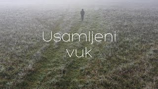 Boris Novković  Usamljeni vuk Official lyric video [upl. by Tteraj]