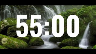 55 minute timer  Forest Background🌲🌲 [upl. by Kemppe]