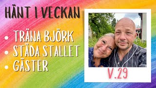 Veckan på vår hästgård  v29 [upl. by Aninat975]