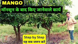 आम के बागों में अक्टूबर मेंमॉनसून के बाद किए जानेवाले कार्य  Post monsoon work in mango orchard [upl. by Trutko129]