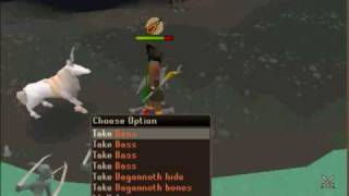 Runescape Solo Mage Dagannoth Rex guide With Commentary [upl. by Geier]