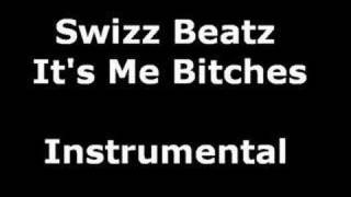 Swizz Beatz  Its Me Bitches Instrumental [upl. by Kassandra]