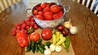 Canning and Sharing a Thick Salsa Recipe [upl. by Haggar]