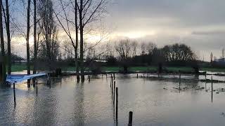 Parcours Hexia Cyclocross Gullegem onder water gelopen [upl. by Blasius350]