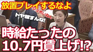 【大石晃子国会質問】人を増やすこともやらない、たった時給107円の賃上げでドヤ顔ケチケチ内閣はもう辞めてくれ！ [upl. by Finzer]