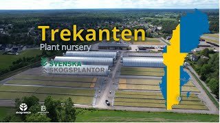 Trekanten [upl. by Atoked]