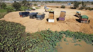 Update Landfill Process Mini Komatsu Dozers D40p And D31p With Dump Trucks 5Ton Delivery Soil [upl. by Kyd]