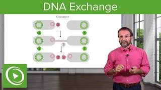 DNA Exchange Transformation Conjugation amp Transduction – Microbiology  Lecturio [upl. by Niwroc]