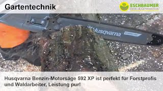 Husqvarna BenzinMotorsäge 592 XP ist perfekt für Forstprofis und Waldarbeiter Leistung pur [upl. by Carina447]