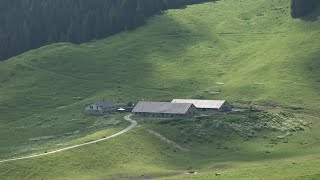 Seren del Grappa Rifugio e Malga Bocchette in cerca di nuova gestione [upl. by Eedak790]