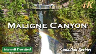 Spectacular Maligne Canyon Jasper National Park  Alberta Canada 4K [upl. by Marvella]