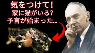 警告！猫の飼い主に向けたエドガー・ケイシーの驚くべき予言が今まさに起こっている！ [upl. by Atinrehs852]