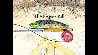 Catskills Fly Fishing Part One quotThe Beaver Killquot [upl. by Jessika19]