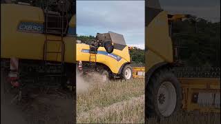 gelbes Geschoss im Raps New Holland CX 890 [upl. by Bakeman]