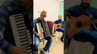 Solos Gino e Geno das antigas acordeon sanfona modão gaita [upl. by Llerrit507]