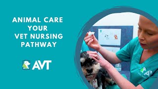 Starting your Career in Veterinary Nursing  Animal Studies Vet Nurse Pathway Course [upl. by Ardnoed]