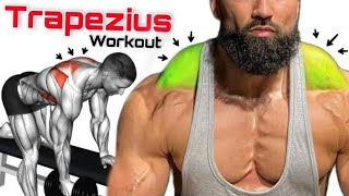 Trapezius workout Effective Trap Workout Routine [upl. by Tai]