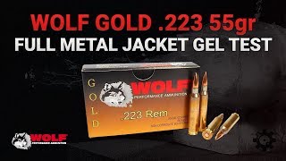 Wolf Gold 223 55gr Full Metal Jacket  Gel Test [upl. by Gnanmas]