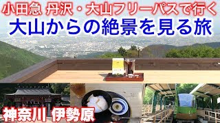 小田急 丹沢・大山フリーパスで行く【大山からの絶景を見る旅】神奈川伊勢原 [upl. by Egiedan251]