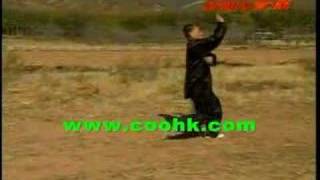 Cheng style Bagua Kung Fu  Ziwu Yuanyang Yue [upl. by Pardoes703]