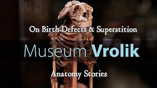 Museum Vrolik  Anatomy Stories 4 On Birth Defects amp Superstition [upl. by Jeaz]