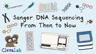 Sanger DNA Sequencing From Then to Now [upl. by Ttirb]