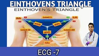 ECG 7  EINTHOVENS TRIANGLE EINTHOVENS LOW IN HINDI ECG PART 7ECG BASICS [upl. by Ody]