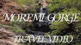 Moremi Gorge in Botswana The Sacred land  Cinematic Video [upl. by Aynekat]