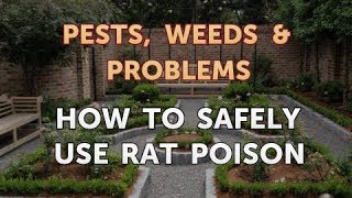 How to Safely Use Rat Poison [upl. by Ettenan594]