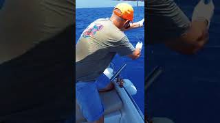 Catching Giant Greater Amberjack in 1 Hour fishing giant [upl. by Adnert939]