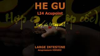 HE GU  LI4 Acupoint  Large Intestine Meridian short [upl. by Esorlatsyrc719]