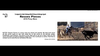 Pitzer Ranch Spring Sale 2024 Lot 87 REESES PIECES [upl. by Strepphon]