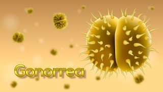 ¡La Gonorrea en 5 minutos Neisseria gonorrhoeae Animación [upl. by Anauqahc]