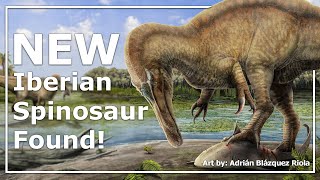 New Iberian Spinosaur Found [upl. by Anrym]