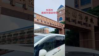 东莞外国语学校街景随拍生活 街景随拍 风景 我的城市由我拍 [upl. by Hatti]