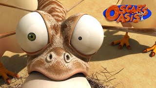 Special September COMPILATION  Oscar’s Oasis  Funny Cartoons for Kids [upl. by Rahs]